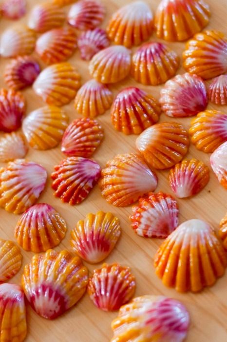 Hawaiian Sunrise Shells . . . shell hunt is so fun here in Hawaii but these shells are rare so if one finds you, keep it or give it away as good luck to someone you love. Creature Marine, Sunrise Shell, Ocean Treasures, She Sells Seashells, Rose Orange, Shell Art, Sealife, Ocean Life, Kauai