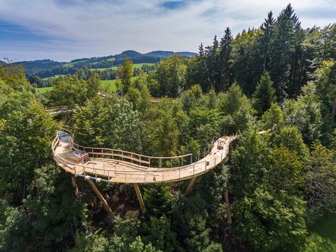 Switzerland gets its first treetop canopy walkway - Lonely Planet Treetop Walkway, Canopy Walkway, Sky Walk, St. Gallen, Pedestrian Bridge, Forest Park, Amazing Travel, Lonely Planet, Unesco World Heritage Site