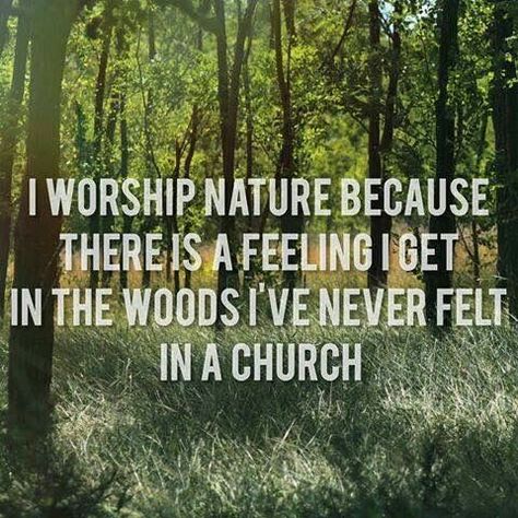 Nature is my church ☁️ Pagan Quotes, Witch Quotes, Wiccan Witch, M Instagram, A Course In Miracles, Pagan Witch, Witchy Woman, Green Witch, Nature Quotes