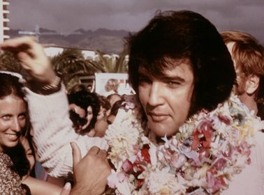 Elvis Aloha From Hawaii, Aloha From Hawaii, Elvis Presley Pictures, Diy Clothes And Shoes, Elvis Presley Photos, The 3 Kings, Extraordinary Life, Papa Bear, January 9