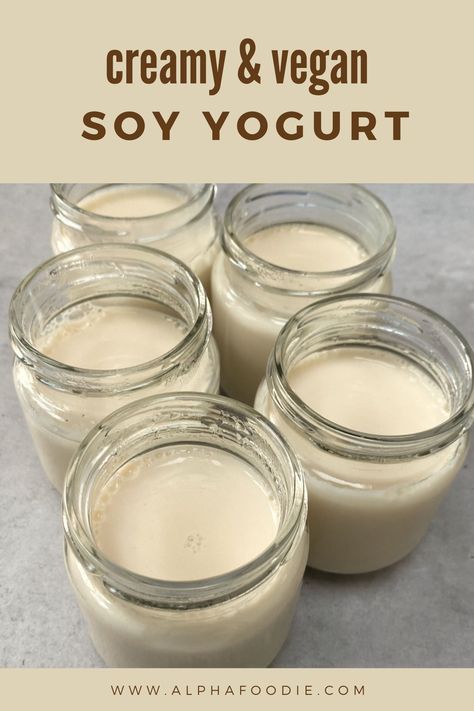 This homemade soy yogurt is made with just 4 ingredients and a simple process, for a delicious and versatile vegan yogurt recipe with no unnecessary additives or added sugars! Lactose-free, nut-free, dairy-free, and yet creamy and delicious! Dairy Free Yogurt Recipe, Homemade Frozen Yogurt Recipes, Vegan Yogurt Recipe, Homemade Soy Milk, Diy Yogurt, Soy Yogurt, Make Greek Yogurt, Frozen Yogurt Recipes, Yogurt Recipe