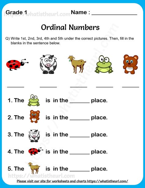 This PDF contains 2 pages of Ordinal numbers finding worksheets.  The worksheets can be used for students of Grade 1.Please download the PDF Ordinal Numbers Worksheet for Grade 1 Ordinals Worksheet For Kindergarten, Ordinal Numbers Worksheets Grade 2, Ordinal Numbers Worksheets For Grade 1, Ordinal Numbers Worksheets Kindergarten, Ordinal Numbers Activities, Ordinal Numbers Kindergarten, Ordinal Numbers Worksheets, Number Words Worksheets, Worksheets For Grade 1