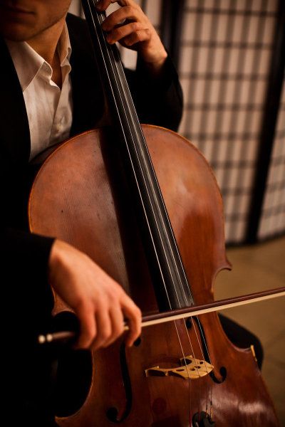 Cello Photography, Cello Music, Michigan Wedding Venues, Fate Stay Night Anime, Music Student, Refined Wedding, Music And Movement, Music Aesthetic, Dream Boy