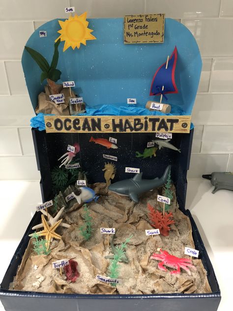 Ocean Habitat 1st Grade Project 1st Grade Diorama Project, Shark Habitat Diorama, Ocean Habitat Project For Kids Shoebox, Ocean Shoebox Habitat, Shark Habitat Project For Kids, Ocean Ecosystem Project For Kids, Shark Habitat Project, Ocean Biome Shoebox Project, Ocean Diaroma