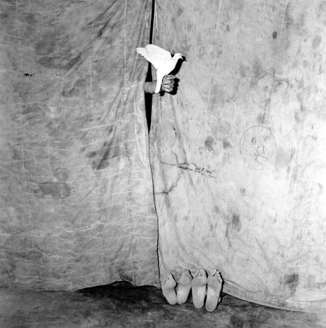 Roger Ballen, Jeff Wall, Bird People, William Eggleston, Cindy Sherman, Bnw Photography, Photography Gallery, Black And White Photographs, Pigment Ink