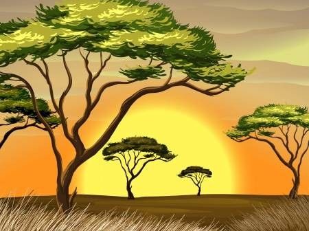 Africa Silhouette, Field Illustration, Sunset Illustration, Field At Sunset, Biology Projects, Nature 3d, Kids Activities At Home, Cartoon Background, African Design