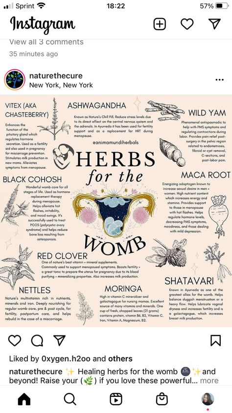 Herbs For Fertility, Fibroid Diet, Fibroid Uterus, Fertility Help, Herbal Education, Womb Healing, Healing Tea, How To Regulate Hormones, Feminine Health