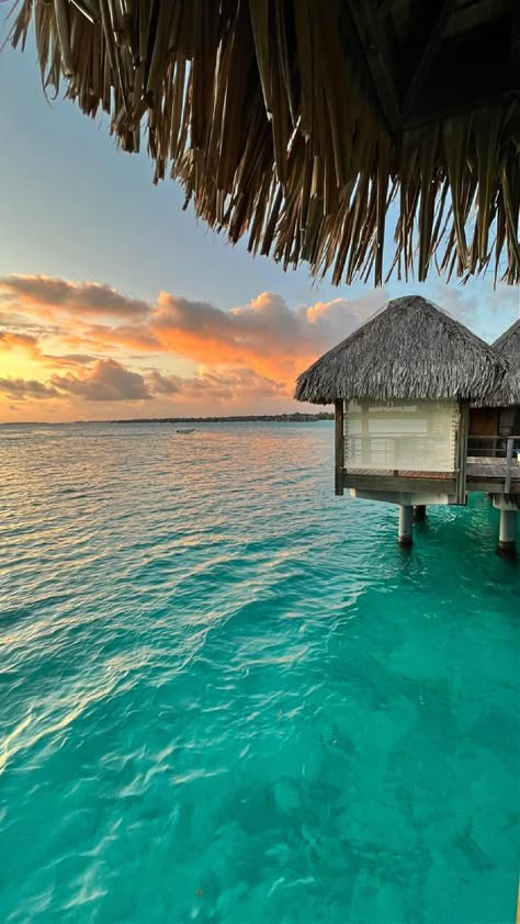 Trip Recap: St. Regis Bora Bora Vacation Asthetics Photos, Photography Travel, Bora Bora Instagram Pictures, Bora Bora Aesthetic, Bora Bora Aesthetic Wallpaper, Bora Bora Aesthetic Friends, Aesthetic Bora Bora, Bora Bora Pictures, Hotel Hacks