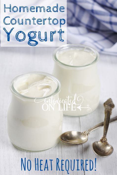 Yogurt Making, Homemade Yogurt Recipes, Homemade Greek Yogurt, Making Yogurt, Yogurt Recipe, Homemade Yogurt, Homemade Cheese, Yogurt Recipes, Dairy Products