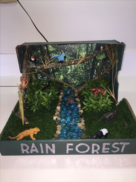 Rainforest Habitat Diorama Rain Forest Diorama, Ecosystems Diorama, Shoe Box Diorama, Habitat Diorama, Rainforest Crafts, Rainforest Project, Biomes Project, Rainforest Activities, Rainforest Biome