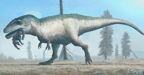 Paleontology Aficionado on Instagram: "Snacking Giganotosaurus #latecretaceous #mesozoic #theropod #carcharodontosauria #giganotosaurini #giganotosaurus #argentina by: Mark Witton" Jurassic Park Characters, Sea Dinosaurs, Prehistoric Wildlife, Dinosaur Images, All Dinosaurs, Prehistoric World, Ancient Animals, Prehistoric Art, Paleo Art