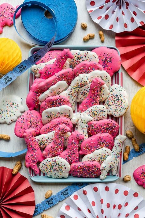 One of my favorite childhood treats were pink and white circus animal cookies; and honestly, I still love them! In a quest to create a copycat version of my fave cookies, I have come up with what I think is the best rendition out there. #pinkandwhitecircuscookies #circuscookies Animal Cookies Recipe, Animals Cookies, Circus Animal Cookies, Animal Circus, Chocolate Marshmallow Cookies, Circus Cookies, Chocolate Chip Shortbread Cookies, Circus Animal Cookie, Teddy Grahams