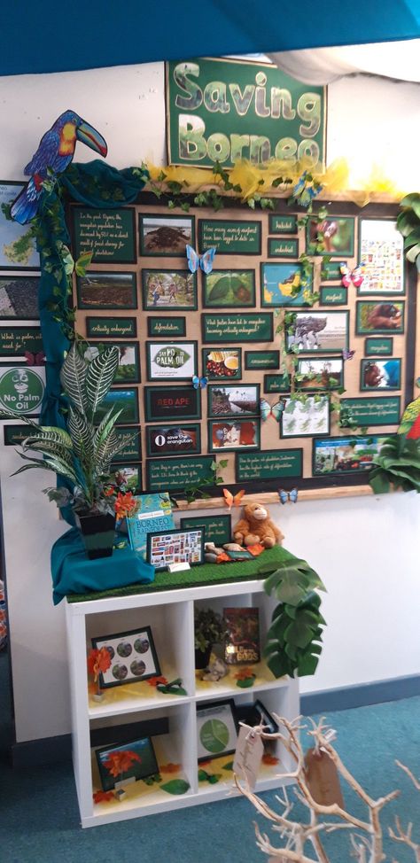 Natural Displays Classroom, Sustainability Display Classroom, Ecosystem Bulletin Board Ideas, Sustainability Wall Display Childcare, Eco School Display Board, Rainforest Display Ks2, Wall Magazine Ideas School, Ks2 Display, Display Board Ideas