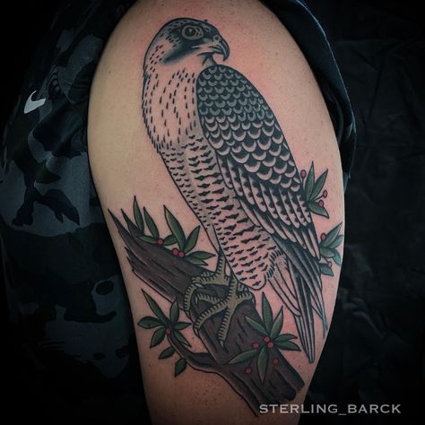 Sterling Barck Falcon Tattoo Hawk American Traditional Tattoo Hawk, Falcon Tattoo, Falcon Hawk, American Traditional, Skull Tattoo, Tattoo Artists, Tattoos