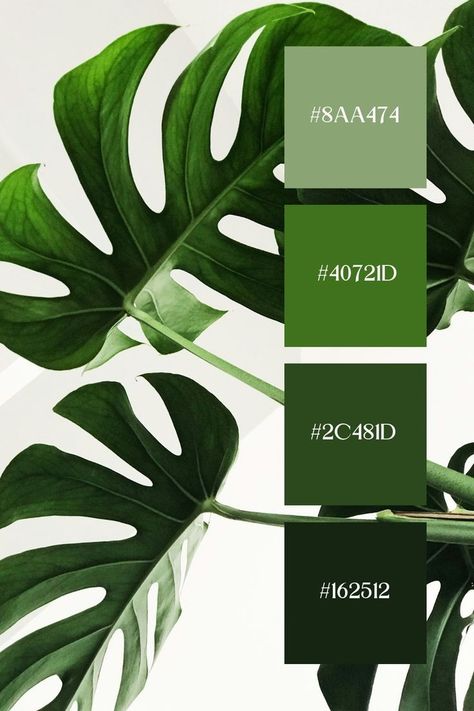 Green Color Palette Hex Codes, Color Palette Hex Codes, Aesthetic Landscapes, Bright White Background, Green Color Palette, Green Colour Palette, Hex Codes, Monstera Leaves, Color Palette Design