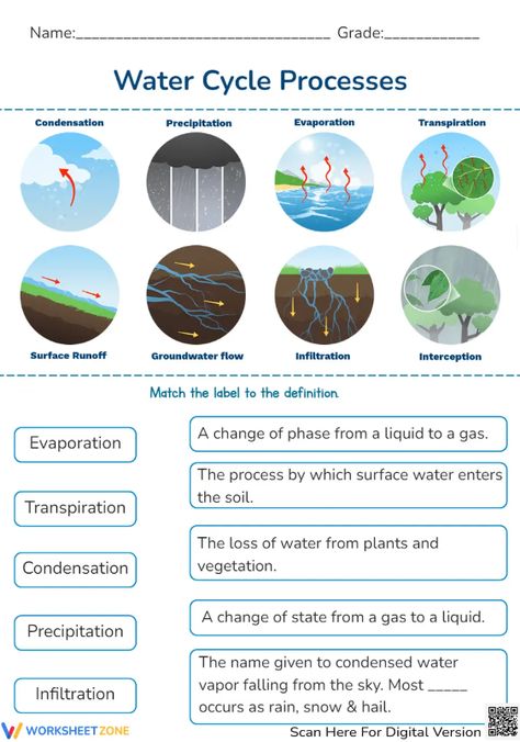 Grab this worksheet and learn about water cycle. Take the pdf and practice right now! #watercycle #science #worksheets #pdfs #printables #water #environment #matching #livingthings #watercycleprocesses #stages #steps Water Cycle Printable, Water Cycle Game, Water Cycle Process, Water Cycle Activities, Water Cycle Worksheet, Cycle Drawing, Water Environment, About Water, Water Cycle