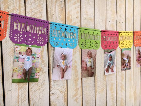 Papel Picado Banner for monthly photos, newborn to 1 year! Attach photos to the bottom of each square! Your party guests will instantly be attracted to this bright and colorful banner showcasing your baby's first year! Like what you see but want different colors? Just ask! Need matching party decor? Just ask! If you would like this banner in SPANISH just request in note to seller!! This item is made to order and is ready to ship out 3-5 business days (not including weekends or holidays). Rush op Picado Banner, First Fiesta, Colorful Banner, Monthly Photo Banner, Papel Picado Banner, Birthday Highchair, Fiesta Birthday Party, Fiesta Theme Party, Twin First Birthday