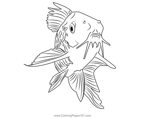 Corydoras Catfish Coloring Page Salmon Drawing, Northern Pike, Sign Image, Lake Fishing, Sharp Teeth, Photoshop Backgrounds, Digital Clip Art, Coloring Pages For Kids, Drawing And Illustration