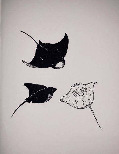 Big Stingray Tattoo, Sea Ray Tattoo, Sting Ray Doodle, Manga Ray Tattoo, Manta Ray Doodle, Manta Ray Aesthetic, Sting Ray Tattoo, Mantaray Tattoo, Manta Ray Drawing