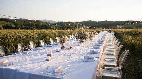 Modern wedding reception in the middle of a wheat field near San Galgano. www.completelysiena.com Modern Wedding Reception, Field Wedding, Wheat Field, Wheat Fields, Planning And Organizing, Tuscany Wedding, Modern Wedding, In The Middle, Tuscany