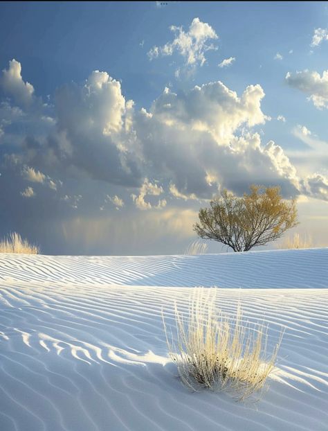 White Sands National Park, White Sand, New Mexico, National Park, Bucket List, Arizona, National Parks, White, Mexico