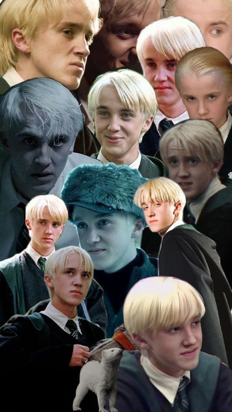 Draco Malfoy Funny, Draco And Hermione Fanfiction, Draco Malfoy Hot, Draco Malfoy Imagines, Slytherin And Hufflepuff, Harry Draco, Draco Malfoy Aesthetic, Lucius Malfoy, Draco And Hermione