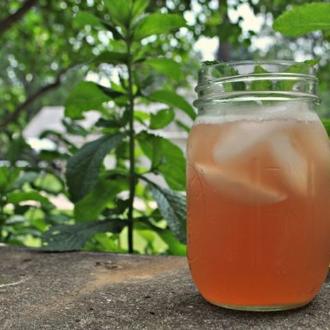 Iced Tea Punch, Rhubarb Tea, Healthy Iced Tea, Sweet Iced Tea, Iced Tea Recipes Homemade, Raspberry Iced Tea, Homemade Iced Tea, Iced Tea Recipe, Recipes For Summer