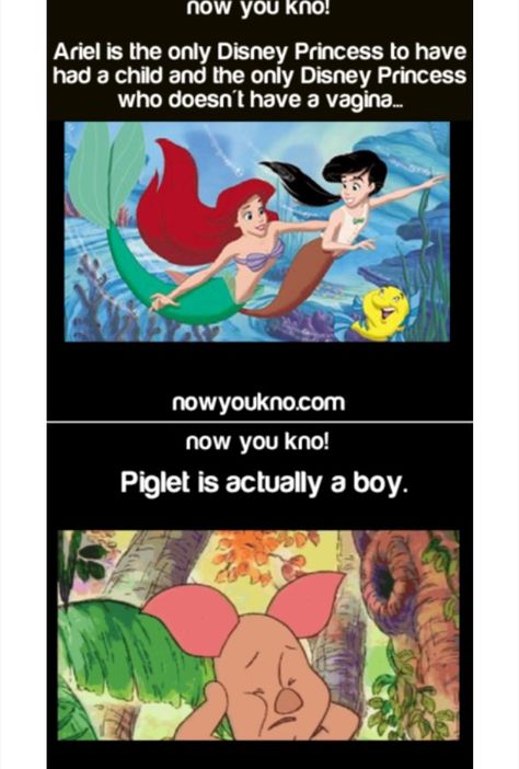 Childhood Ruined Disney, Disney Princess Memes, Right In The Childhood, Disney Theory, Disney Secrets, Funny Disney Memes, Funny Disney Jokes, Disney Fun Facts, Dark Disney