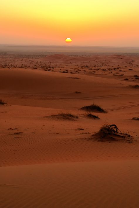 https://flic.kr/p/9tqgHU | desert sunset Desert Aesthetic, Deserts Of The World, Desert Dream, Desert Vibes, Kingdom Come, Desert Sunset, Desert Landscaping, In The Desert, Sand Dunes