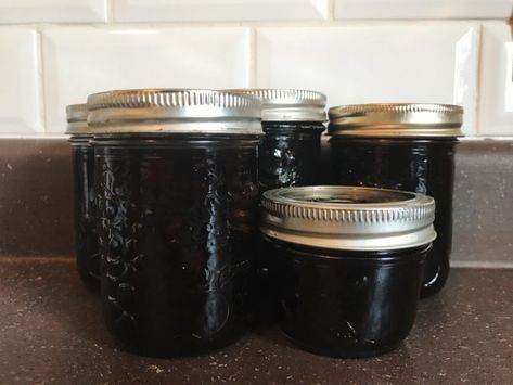 Saskatoon Jelly Recipe, Saskatoon Berry Jam, Saskatoon Jam, Saskatoon Berry Recipe, Amelanchier Alnifolia, Pectin Recipes, Saskatoon Berry, Preserving Foods, Berry Jam