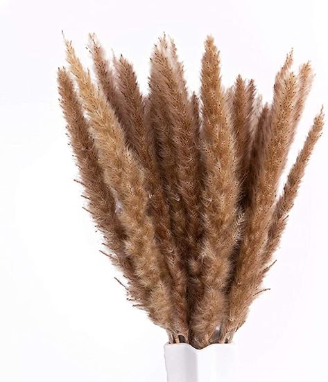 Amazon.com: 17" Pampas Grass, Uieke 30pcs Natural Dried Artificial Flowers Arrangements Large Reed Plumes Long for Home Wedding Party Decoration Wreath Vase Boho Decor Brown: Kitchen & Dining Artificial Flowers Arrangements, Bohemian Party Decorations, Grass Plants, Boho Party Decorations, Diy Wedding Table, Home Wedding Party, Grass Decor, Pampas Grass Decor, Grass Flower