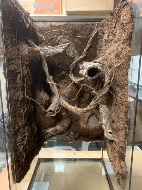 Crested Gecko Terrarium Ideas Diy, Terrarium Crested Gecko, Crested Gecko Tank Ideas, Diy Crested Gecko Enclosure, Crested Gecko Habitat Bioactive, Crested Gecko Tank, Crested Gecko Enclosure, Bioactive Crested Gecko Tank, Bioactive Crested Gecko Terrarium