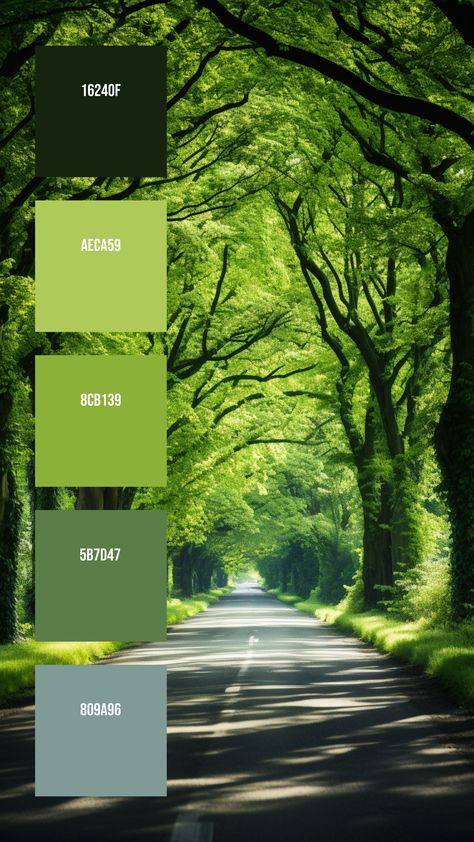 Colors:
16240F ° AECA59 ° 8CB139 ° 5B7D47 ° 809A96 Greenhouse Color Palette, Adventure Color Palette, Nature Pallet, Nature Colour Palette, Jungle Color Palette, Plant Color Palette, Tree Color Palette, Sleep Pods, Nature Palette