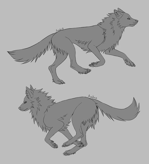 Running Wolf Drawing, Wolf Running Reference, Wolf Poses Drawing, Wolf Poses Reference, Wolf Lineart, Wolf Base, Running Drawing, Wolf Drawings, Wolf Poses