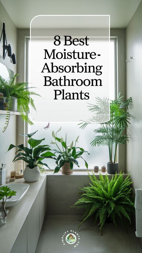 "Discover the 8 Best Moisture-Absorbing Bathroom Plants That You Will Love! Elevate your bathroom plant decor with these humidity-loving houseplants that thrive in damp environments. From moisture-loving plants to moisture-absorbing greenery, these indoor plants for bathrooms not only enhance your space but also improve air quality. Explore creative bathroom plant ideas and find the perfect plants for damp bathrooms that will flourish in your home.!" Plants In Walk In Shower Ideas, Best Houseplants For Bathroom, Bathroom Plant Storage, Best Plants For Apartments, Bathroom Plant Hanging, Bathroom Window Sill Plants, Plant Wall For Bathroom, Air Plants In Shower Ideas, Plants Above Bathroom Mirror