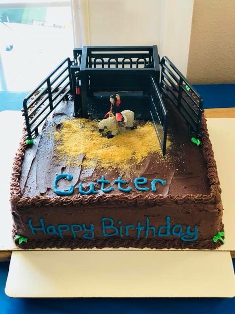 Bucking Bull Cake, Bucking Bull Birthday Party, Cowboy Cake, Cowboy Cakes, Bucking Bulls, 7 Birthday, Birthday Surprise Party, Surprise Party, Ffa