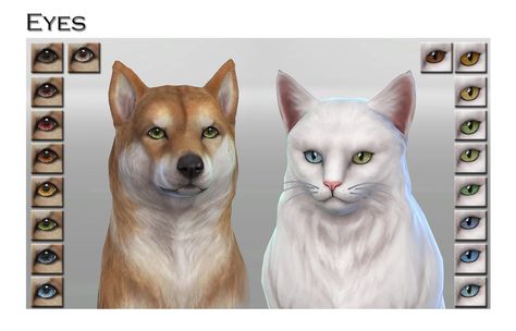 Sims 4 Pet Eyes, Sims 4 Cc Eyes, Sims 4 Cc, Sims 4, Pet, Animals