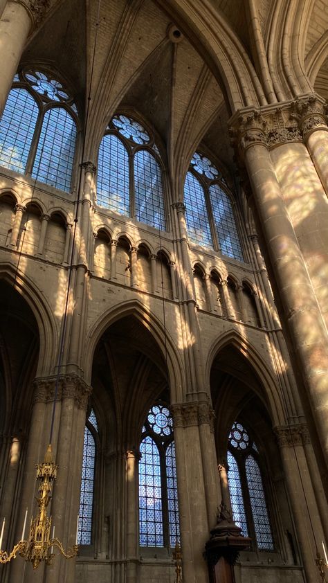 Notre Dame Cathedral Interior, Gothic Cathedral Interior, Notre Dame Cathedral Aesthetic, Gothic Cathedral Aesthetic, Chartes Cathedral, Gothic Church Interior, Gothic Architecture Aesthetic, Cathedral Aesthetic, Black Cathedral