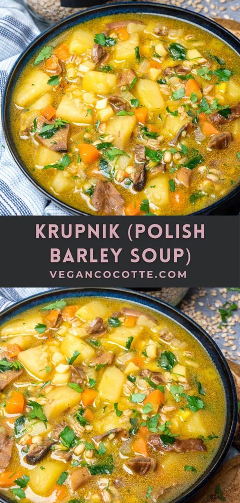 Soup With Barley, Easy Vegan Soup, Barley Recipe, Dried Porcini Mushrooms, Beef Barley Soup, Juniper Berries, Vegan Soup Recipes, Barley Soup, Porcini Mushrooms