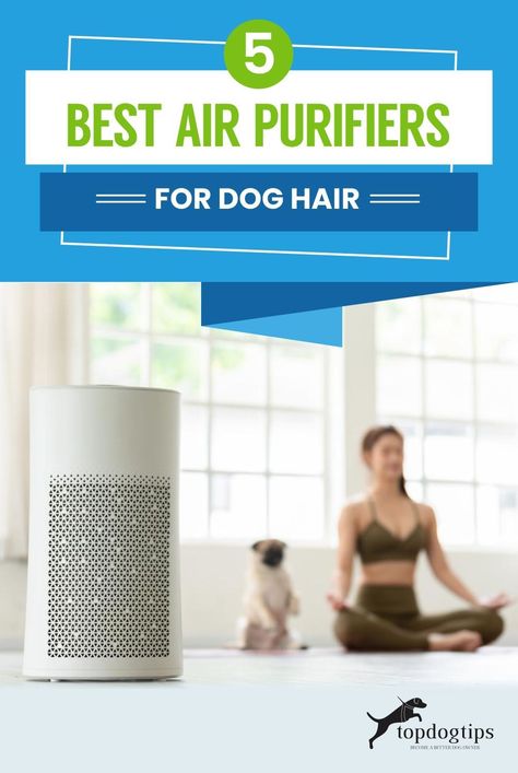 Smart Auto, Hair Shows, Clean Air, Air Purifier, Dog Hair, Training Tips, Pet Hair, Dog Care, Pet Owners