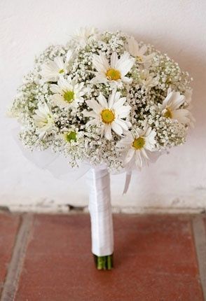 baby breath and daisy bouquet | daisy and baby breath wedding bouquet Daisy A Bouquet Of Flowers, Bouquet Daisies, Daisy Boutonniere, Wedding Daisy, Daisy Bouquet Wedding, White Wax Flower, Shasta Daisy, Church Wedding Flowers, Wedding Flowers Roses