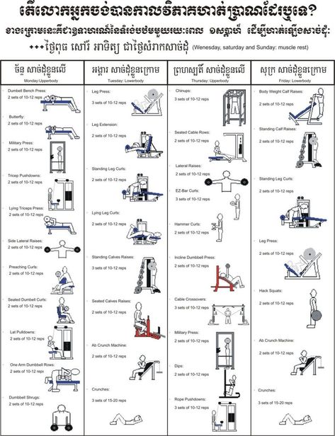 Gym Exercise Names And Pictures Pdf Gymtutor Co Beginner Gym Workout Routine, Best Workout For Beginners, Beginners Gym Workout Plan, Muscle Building Workout Plan, Workout Arms, Workout Board, Fitness Studio Training, Routine Workout, Strap Workout