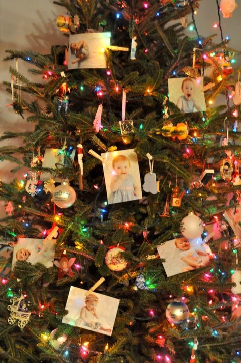 birthday christmas photo tree December Birthday Party Ideas, December Birthday Party, December Birthday Parties, Birthday Tree, Tree Pictures, Christmas Tree Pictures, Birthday Traditions, Christmas Birthday Party, December Birthday