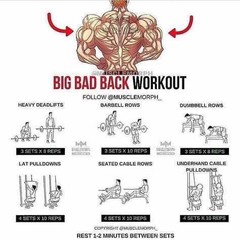 Back Pump Big Muscle, Reps And Sets, Workout Exercises, Muscle Building Workouts, Weight Training Workouts, Workout Chart, Muscle Training, Chest Workouts, Gym Workout Tips