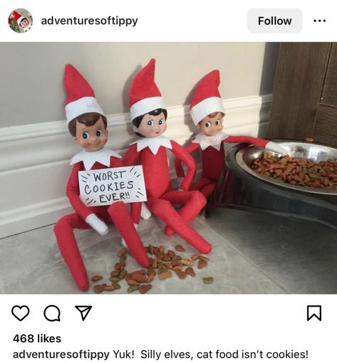 Places To Hide Your Elf, Easy Elf Ideas, Elf Cat, Elf Ideas Easy, Easy Elf On The Shelf, Christmas Yummies, Easy Elf, Awesome Elf On The Shelf Ideas, Elf Activities