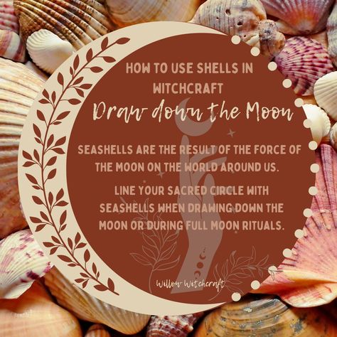 Willow Witchcraft Seashell Witchcraft, Seashells Witchcraft, Drawing Down The Moon, Water Witch, Sacred Circle, Kitchen Witchery, Full Moon Ritual, Lake Water, Sea Witch