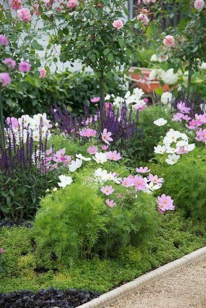 Cottage Garden Design, Organic Vegetable Garden, Landscape Designs, Low Maintenance Garden, Have Inspiration, The Secret Garden, Design Seeds, Garden Borders, Perennial Garden