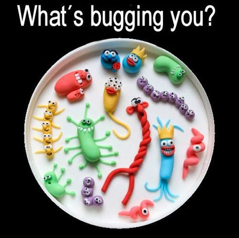 Medical Laboratory and Biomedical Science: What´s Bugging You? Science Cake, Lab Humor, Lab Week, Science Birthday, Cake Wrecks, Medical Laboratory Science, Biomedical Science, Science Party, Petri Dish