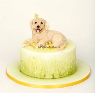 This simple cake was made for little girl birthday. She wanted her dog to be on the cake. I kinda like how he turned out, so I thought I’s share it with you. Thanks for looking! :) Golden Retriever Cake, Cake For Dogs, Chien Golden Retriever, Chicken Cake, Puppy Cake, Dog Birthday Cake, Fondant Animals, Animal Cakes, Dog Cakes