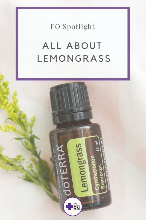 A popular digestive tonic, Lemongrass has a refreshing lemon-herb-like aroma. Lemongrass essential oil supports the health of the nervous system, promotes a cheerful mood, and tones the skin. It’s also a popular oil to use in massage to refresh and rejuvenate muscles. #ligaments #muscles #injury Lemongrass Essential Oil Blends, Lemongrass Essential Oil Benefits, Doterra Lemongrass, Lemongrass Oil, Lemon Herb, Essential Oils For Hair, Lemongrass Essential Oil, The Nervous System, Oil Benefits